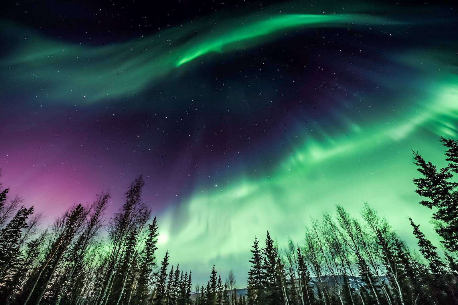 Best Places to Visit in the U.S. in Spring