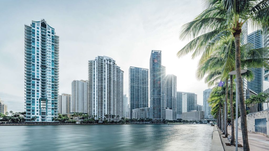 Image of city skyline and palm trees image